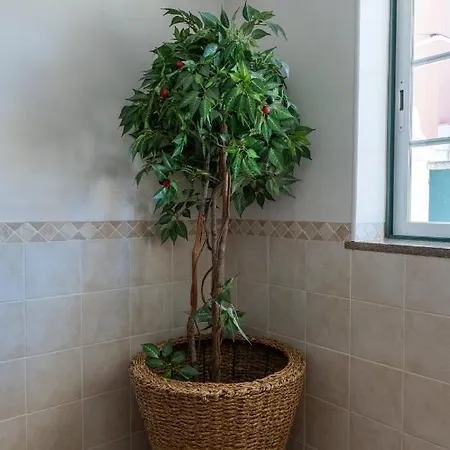 Δωμάτια σε οικογενειακή κατοικία Berlenga House *