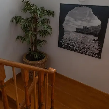 Homestay Berlenga House