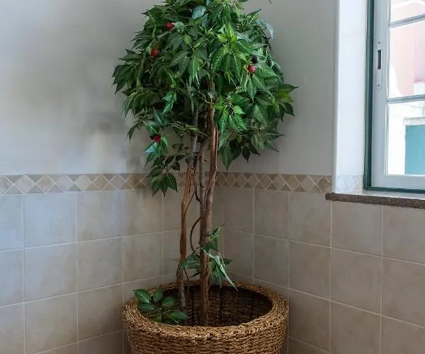 منزل للإقامة Berlenga House *